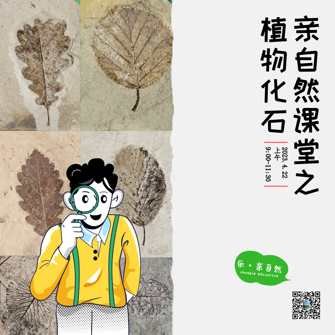 第二課堂 | “植物化石”初體驗，觸摸自(zì)然之美(měi)